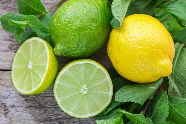 Export of Lemons and Limes Soars 67% to $79M in Spain in October 2023